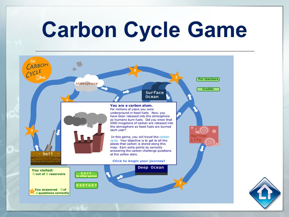 Carbon cycle story